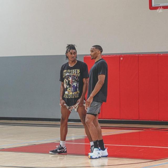 与对抗数据 与对抗数据