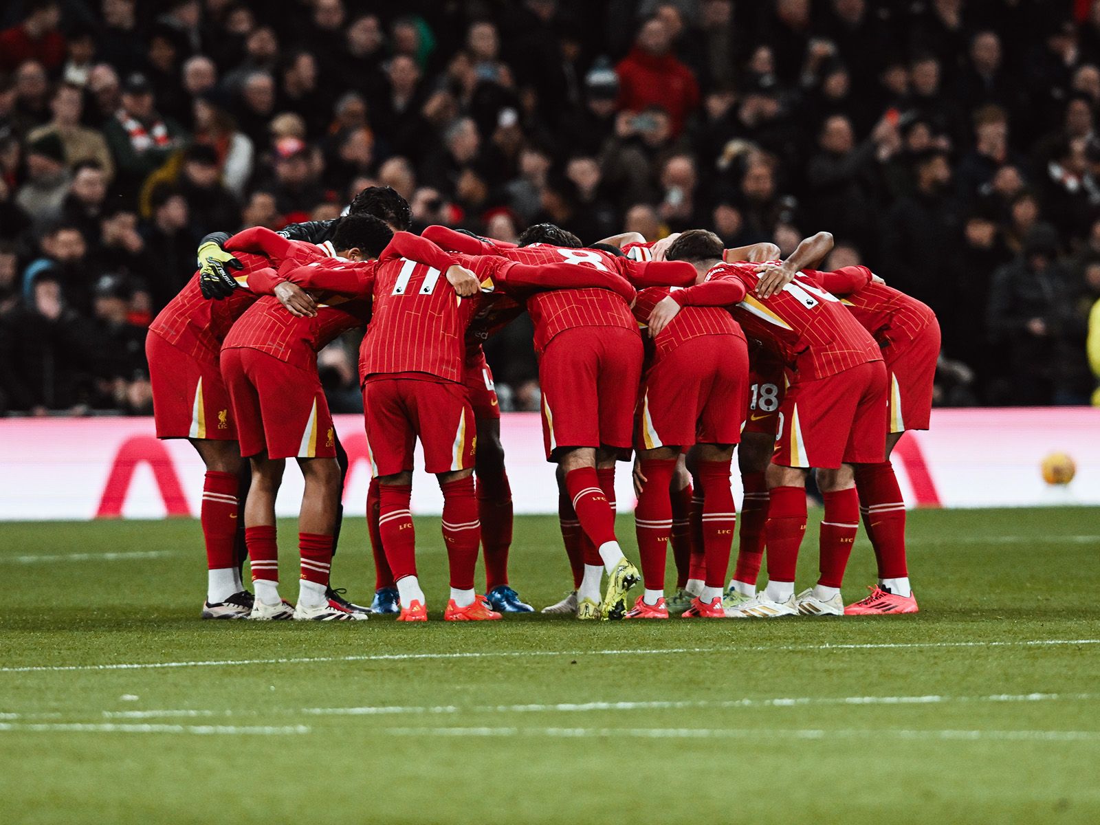 限时免费 限时免费